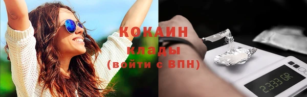 соль ск Абаза
